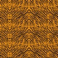 Tiger stripes background Free Vector