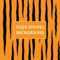 Tiger stripes pattern background
