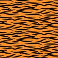 Tiger stripes seamless vector pattern black and orange background print. Royalty Free Stock Photo