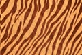 Tiger style fabric Royalty Free Stock Photo