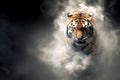 Tiger surround with swirl smoke. dynamic composition and dramatic lighting