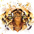 Tiger T-shirt graphics, tiger eyes illustration with splash watercolor textured background.