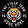 tiger team hongkong patch embroidery tshirt vector stock