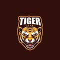 Tiger Team