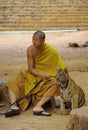 Tiger Temple in Kanchanaburi Royalty Free Stock Photo