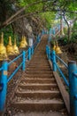 Tiger temple steps
