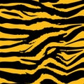 Tiger texture abstract background orange black.