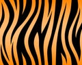 Tiger texture abstract background orange yellow black. Vector jungle stripe africa safari repeated seamless Royalty Free Stock Photo