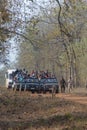 Tiger Tourism at Tadoba Tiger reserve Maharashtra,India