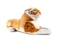 Tiger toy sitting on white Royalty Free Stock Photo