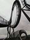 Tiger turtle magic mountain