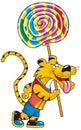 Tiger and twirl lollipop Royalty Free Stock Photo