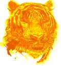 Tiger Vector design clipart