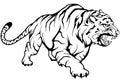 Tiger vector drawing, tiger drawing sketch in full growth, crouching tiger in black and white