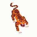 Tiger vector illustration, cartoon tiger prowling on white background. Organic flat style vector illustration Royalty Free Stock Photo