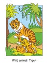 Tiger vector illustration Royalty Free Stock Photo