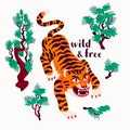 Tiger vector illustration, Wild and free text and cartoon tiger sneak through japanese pine trees. Organic flat style Royalty Free Stock Photo