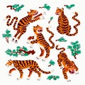 Tiger vector set, tigers in various poses and japanese pine branches in cartoon asian style. Organic flat style vector Royalty Free Stock Photo