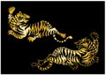 Tiger vector for tattoo and coloring book on white background