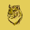 Tiger walking from dark. vector Logo design, on black background image Royalty Free Stock Photo