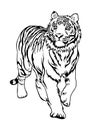 Tiger walking font side all body motif tattoo or coloring