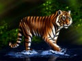 The tiger walks on the water against the background of the forest