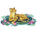 Tiger with water lilies, watercolor illustrations Royalty Free Stock Photo