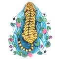 Tiger with water lilies, watercolor illustrations Royalty Free Stock Photo