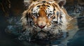 Tiger water painting