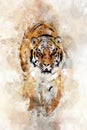 Tiger - watercolor illustration portrait