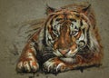 Tiger predator watercolor painting animals background texture