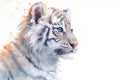 Tiger Watercolor Royalty Free Stock Photo