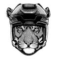 Tiger, wild cat animal wearing hockey helmet. Hand drawn image of lion for tattoo, t-shirt, emblem, badge, logo, patch. Royalty Free Stock Photo