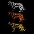 Tiger wild illustration strength mammal wildlife graphic