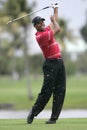 Tiger Woods at Doral in Miami Royalty Free Stock Photo