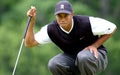 Tiger Woods eyes a putt Royalty Free Stock Photo