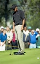 Tiger Woods misses a putt Royalty Free Stock Photo