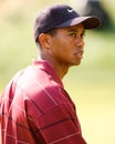 Tiger Woods Royalty Free Stock Photo