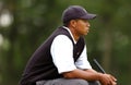 Tiger Woods Royalty Free Stock Photo