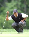 Tiger Woods Royalty Free Stock Photo
