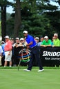 Tiger Woods watches his drive Royalty Free Stock Photo