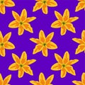 Tiger yellow lily flowers repeat pattern