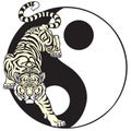 Tiger in the yin yang symbol Royalty Free Stock Photo