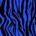 Background pattern texture tiger and zebra stripe black jungle safari. Tiger and zebra seamless pattern.