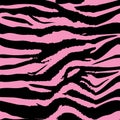 Background pattern texture tiger and zebra stripe black jungle safari. Tiger and zebra seamless pattern.