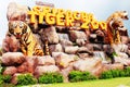 Tiger zoo sriracha thailand Royalty Free Stock Photo