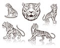 Tigers