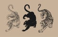 Tigers design element illustrations