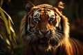 Tigers grace captured in a detailed portrait against a forest