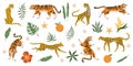 Tigers, leopards and jaguars with tropical plants. Wild animals, palm leaves flowers and fruits, safari predators, cat